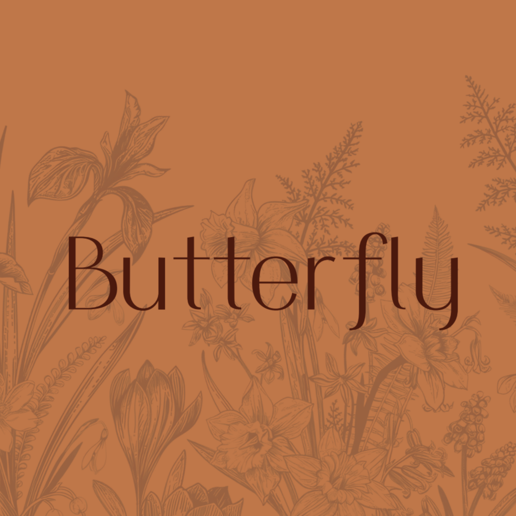 Butterfly Chocolate logo